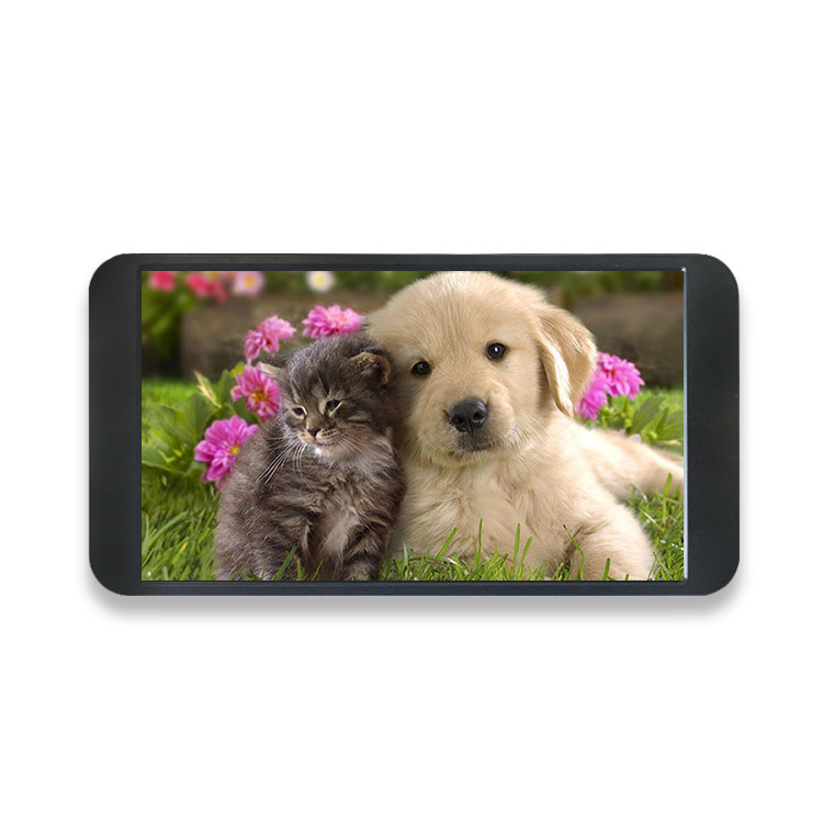 7 Inch 1080P Monitor 1920*1080 - огляд і ціна Gaming Console In